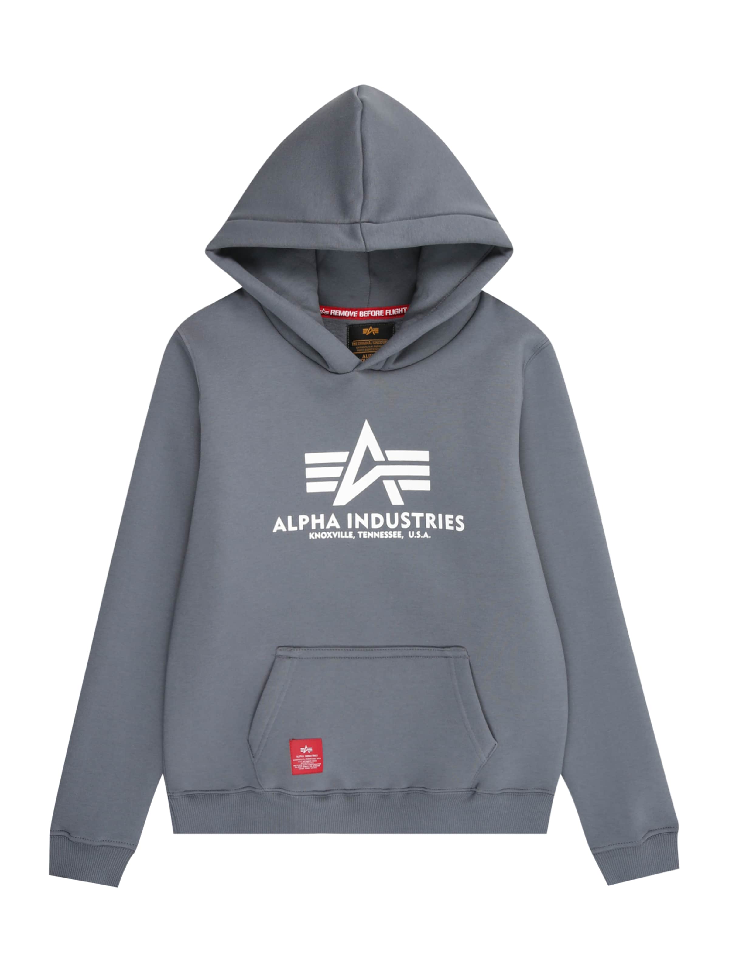 ALPHA INDUSTRIES Μπλούζα φούτερ σε γκρι: μπροστά