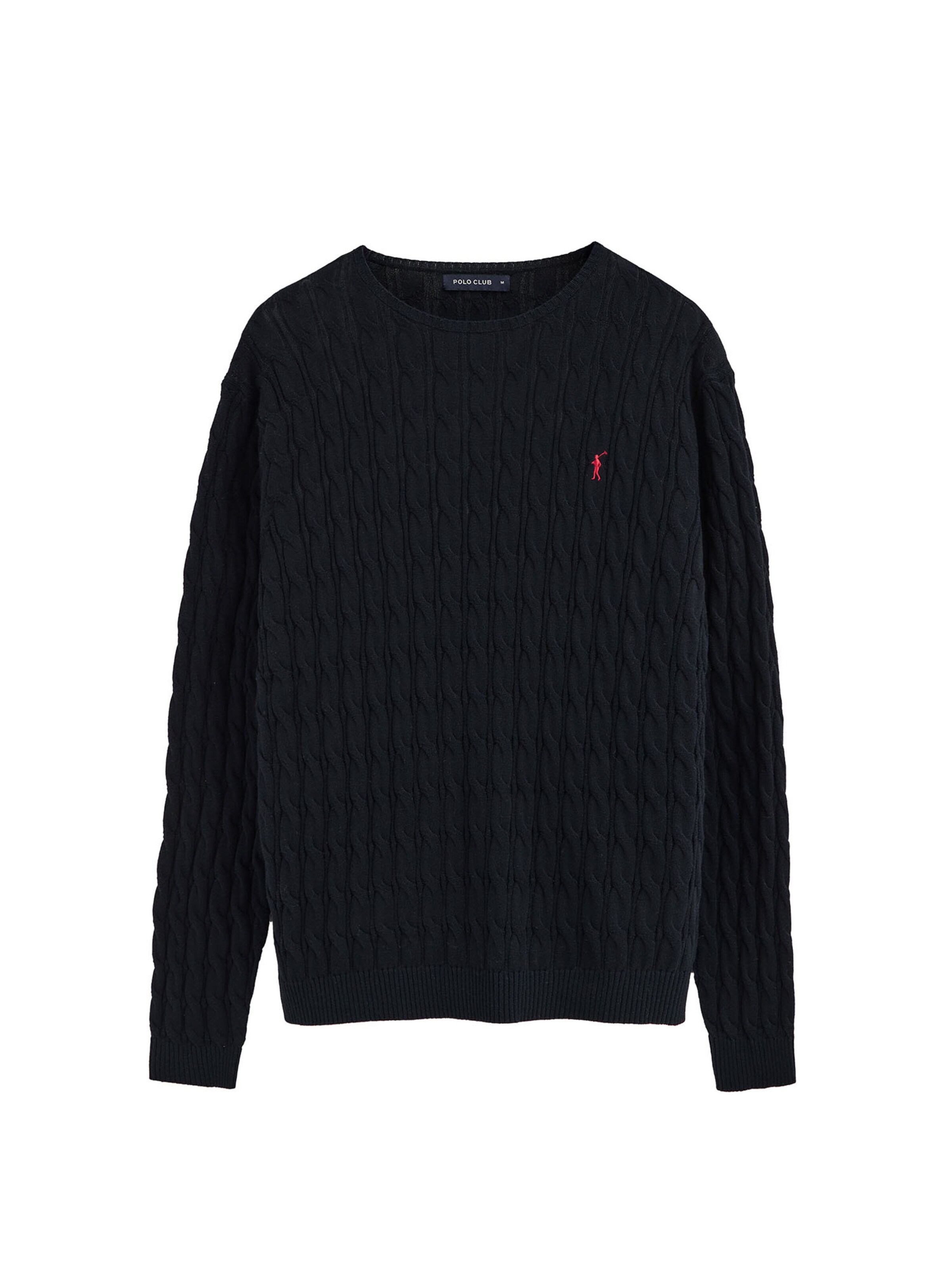 Polo Club Sweater in Mixed colors