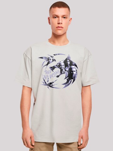 F4NT4STIC Shirt 'The Witcher Wolf Netflix TV Series' in Grey: front