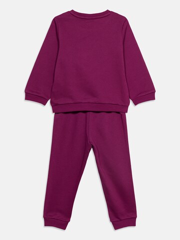 PUMA Jogginganzug 'MINICATS ESS' in Pink