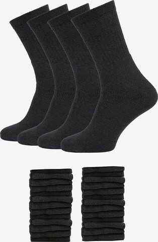 Albert Schäfer Socks in Grey: front