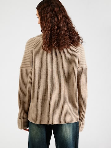 DRYKORN Sweater 'DANILIO' in Brown