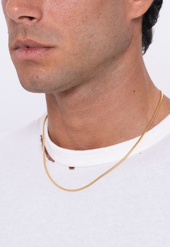 Commen Lines Necklace in Gold