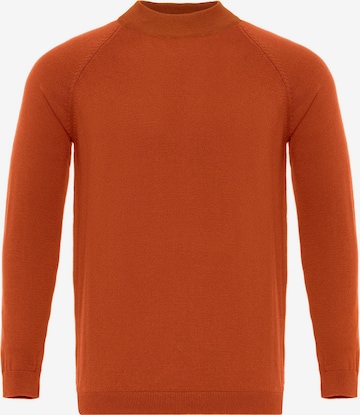 oranžinė Dandalo Megztinis: priekis