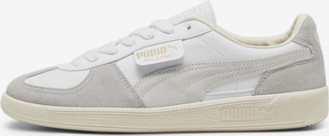 PUMA Sneaker 'Palermo' in Weiß: Vorderseite