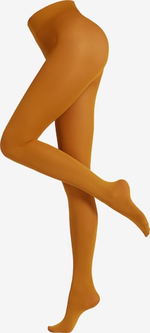 CALZEDONIA Fine Tights in Yellow: front