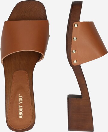 ABOUT YOU Sandal 'LAILA' in Brown