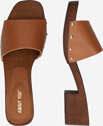 ABOUT YOU Sandals 'LAILA' in Brown