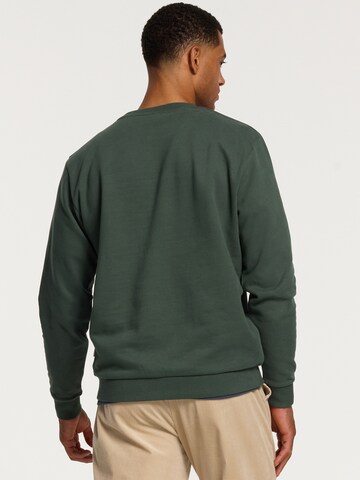 Sweat-shirt Shiwi en vert