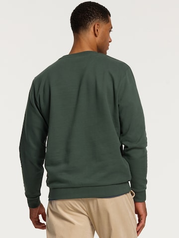 Shiwi Sweatshirt in Groen