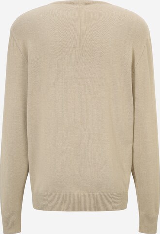 FCBM Sweater 'Laurin' in Beige