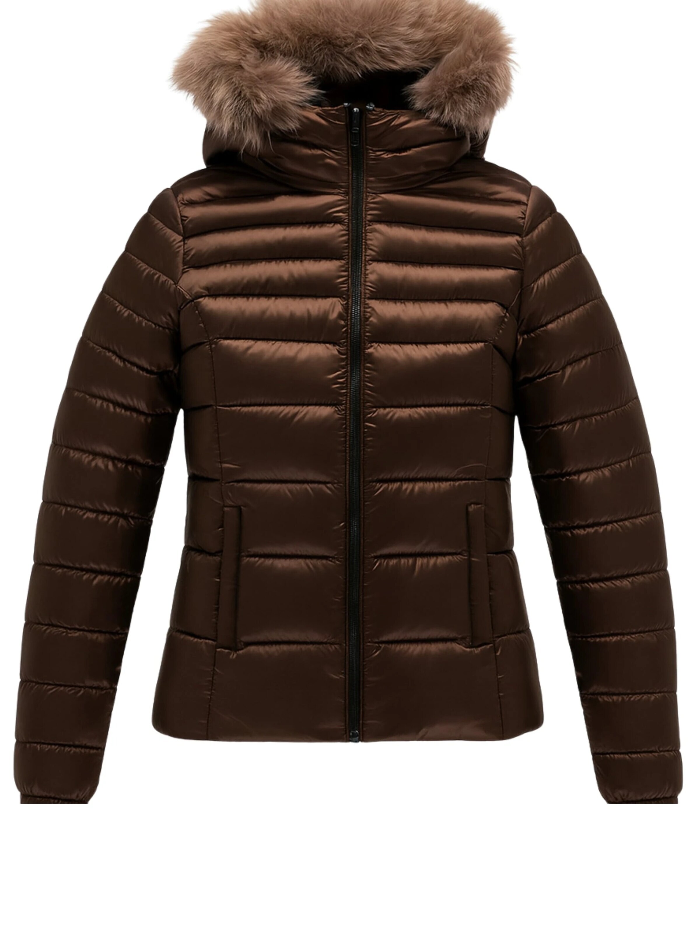 Veste d’hiver 'W97618MEAD' Refrigiwear en marron : devant