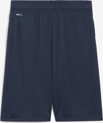 PUMA Regular Workout Pants 'Active Sport' in Blue