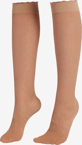 CALZEDONIA Knee High Socks in Beige: front