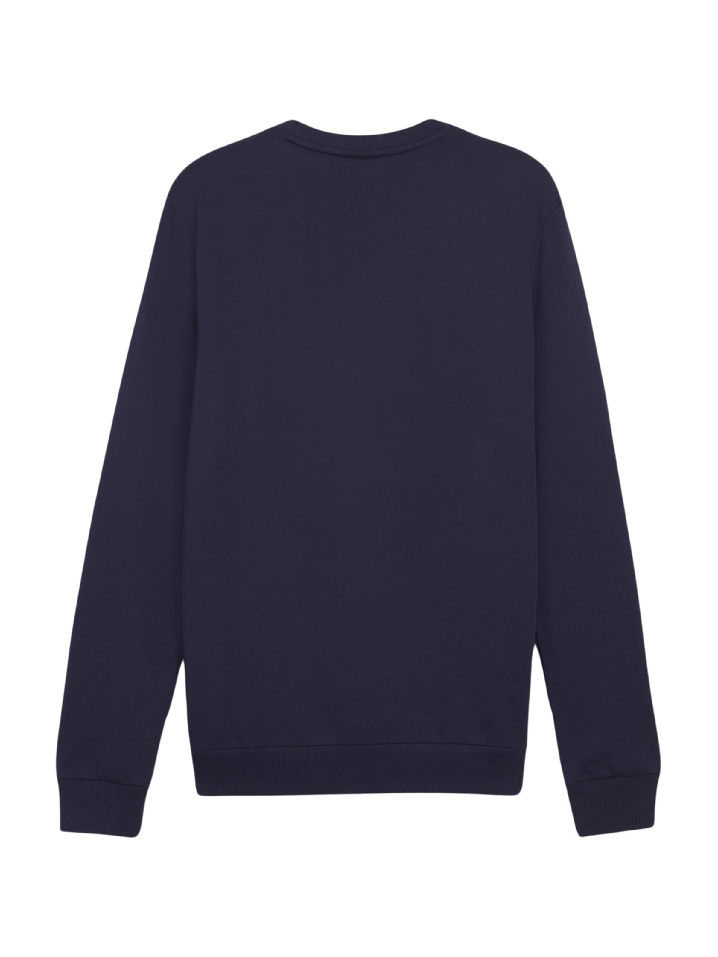 PUMA Sportsweatshirt 'TeamGoal' i blå