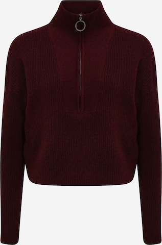 Pullover 'NEWALICE' di Noisy May Petite in rosso: frontale