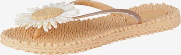 Tongs 'CHEERFUL16F' ILSE JACOBSEN en beige : devant