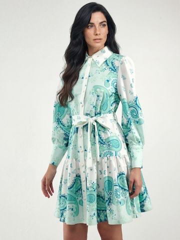 Abito di MSN Collection in verde: frontale