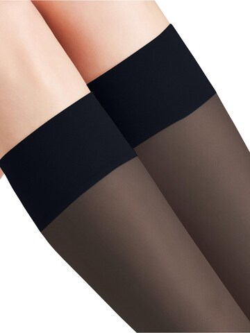 FALKE Knee High Socks 'Pure Matt' in Blue