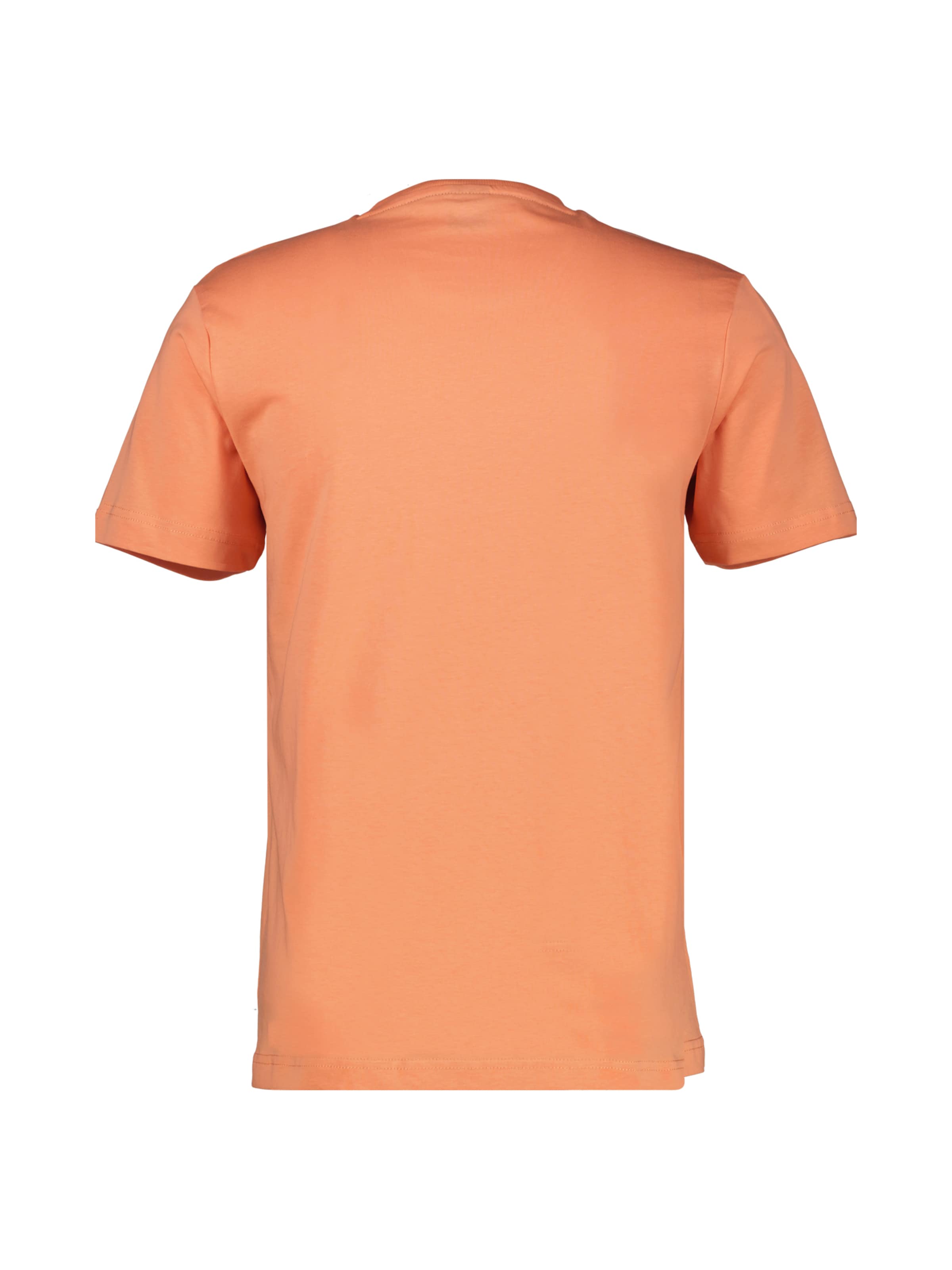 LERROS T-Shirt mit O-Neck aus softer Baumwolle mit Summervibe-Print in Orange