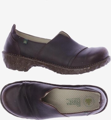 EL NATURALISTA Flats & Loafers in 41 in Brown: front