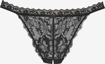 PETITE FLEUR GOLDTanga gaćice - crna boja: prednji dio