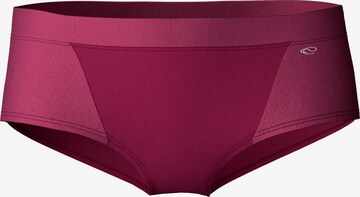 Panty 'Cate' di CALIDA in lilla: frontale