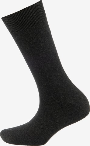 camano Socks in Mixed colors