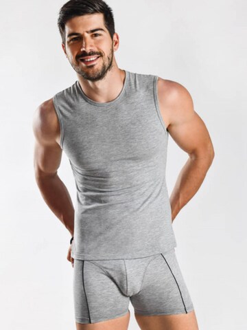 Maillot de corps 'BASIC MAX Unterhemd 5er Pack' Maxte en gris : devant