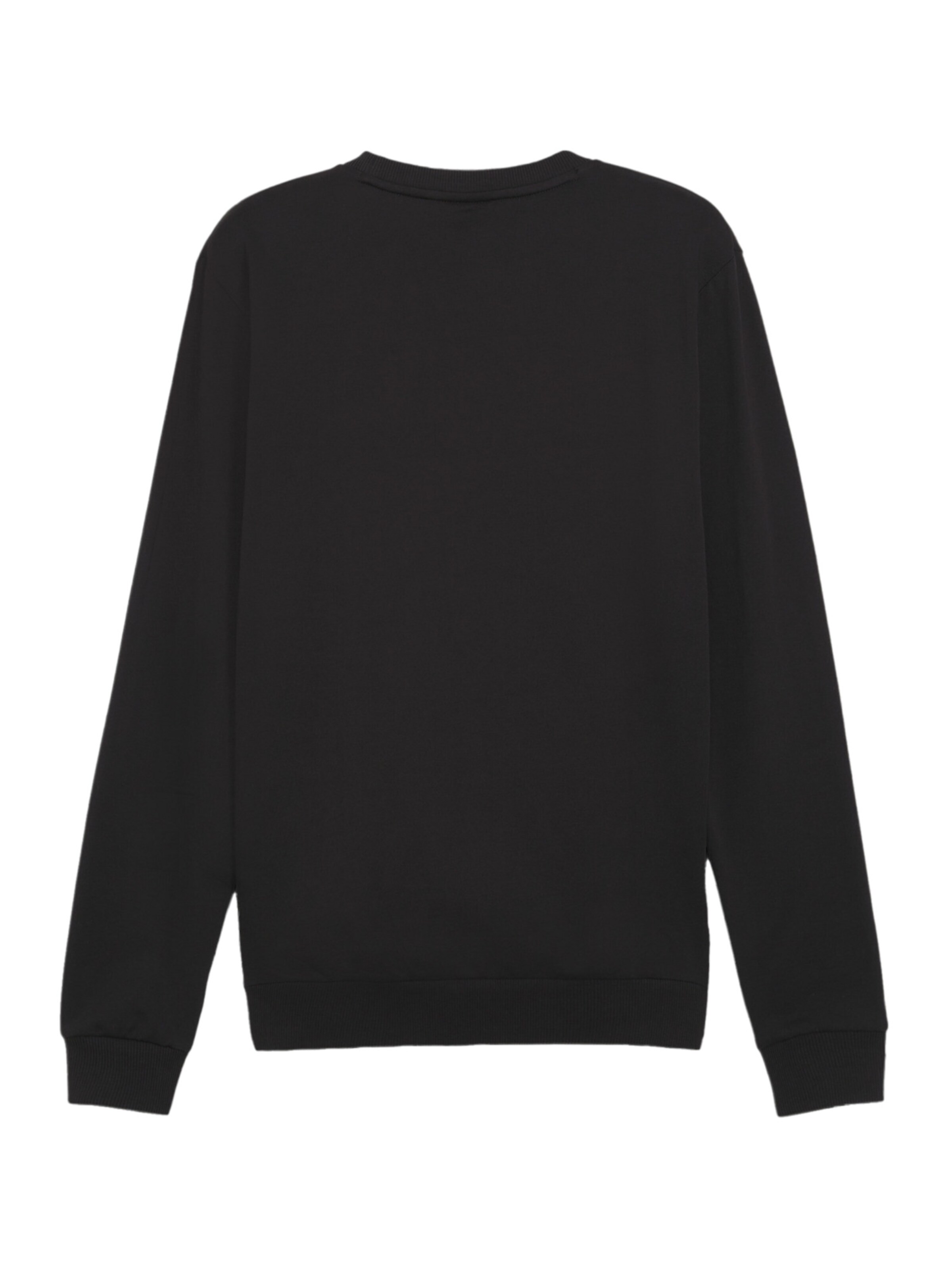 Felpa sportiva 'TeamGoal' di PUMA in nero