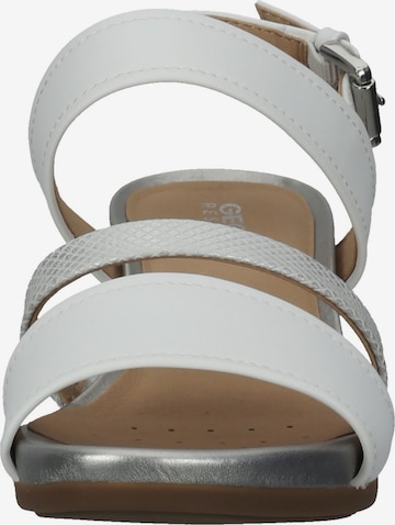 Sandalo con cinturino di GEOX in bianco