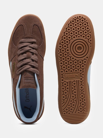 PUMA Sneakers 'Palermo' in Brown