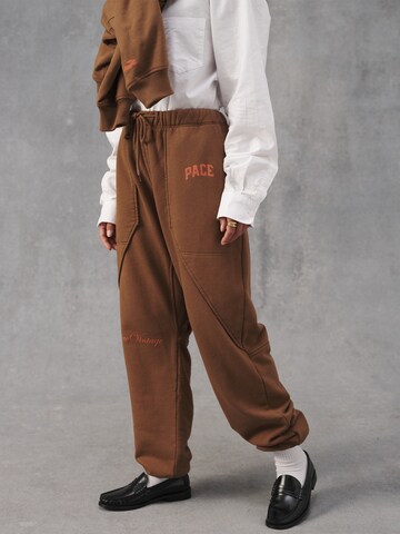 Pacemaker Tapered Pants 'Jonas' in Brown