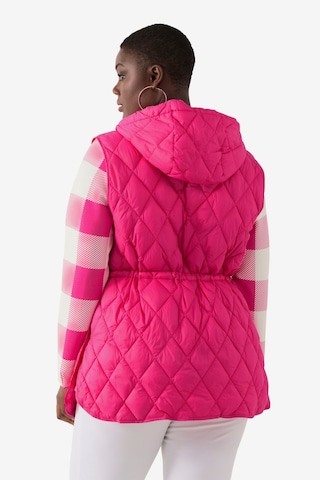 Gilet Ulla Popken en rose