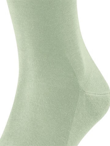 FALKE Knee High Socks 'Tiago' in Green