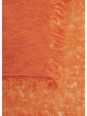 CODELLO Schal in Orange