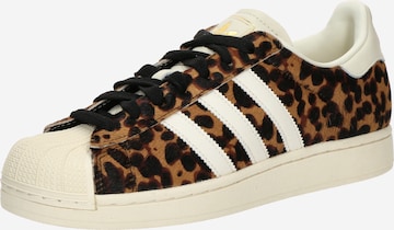ADIDAS ORIGINALS Matalavartiset tennarit 'Superstar II' värissä ruskea: etupuoli