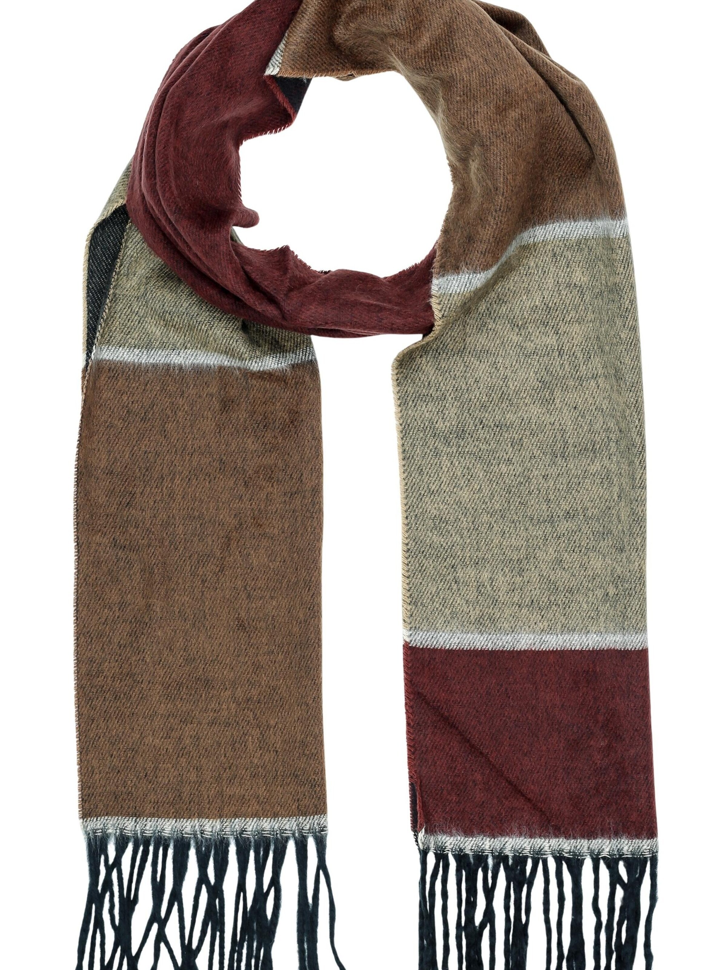 COLLEZIONE ALESSANDRO Scarf 'Profession' in Brown: front