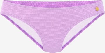 LASCANA Bikini Bottoms in Purple: front