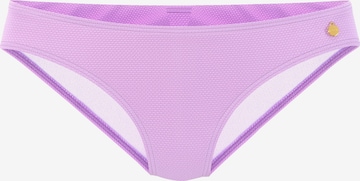 LASCANA Dół bikini w kolorze fioletowy: przód