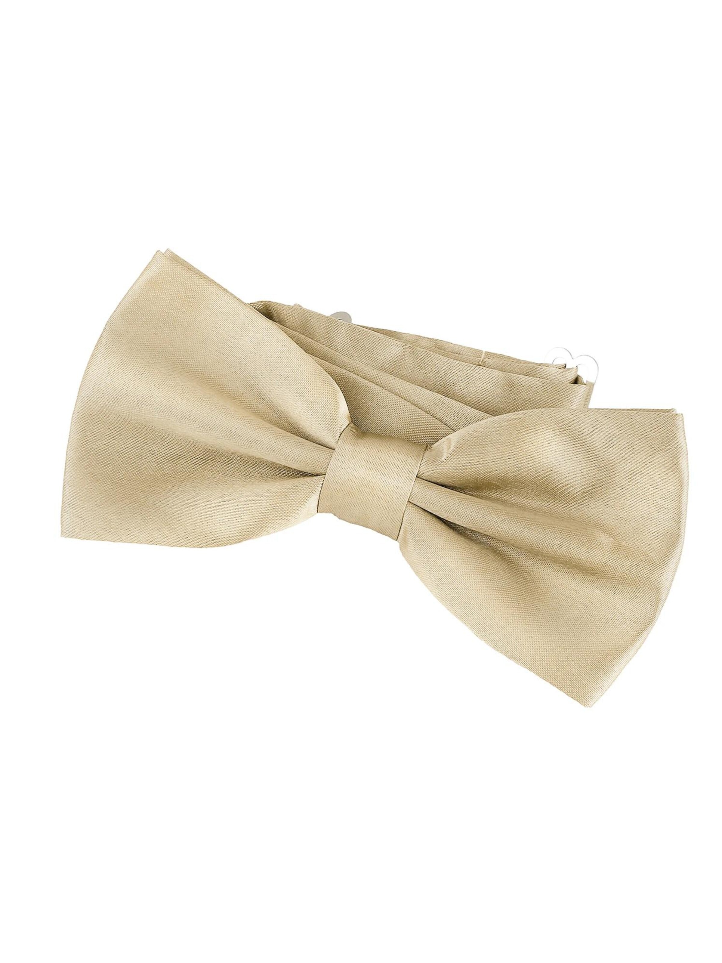 DonDon Bow Tie 'DonDon Edle nachtblaue Fliege Schleife mit Haken - bereits gebunden und verstellbar' in Beige: front