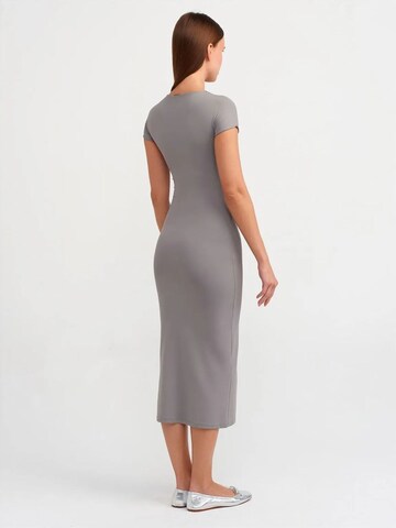 Dilvin Dress in Grey