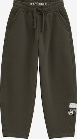 Barrel Pantaloni di WE Fashion in verde: frontale