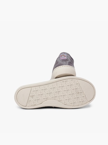 Pisamonas Sneakersy w kolorze szary