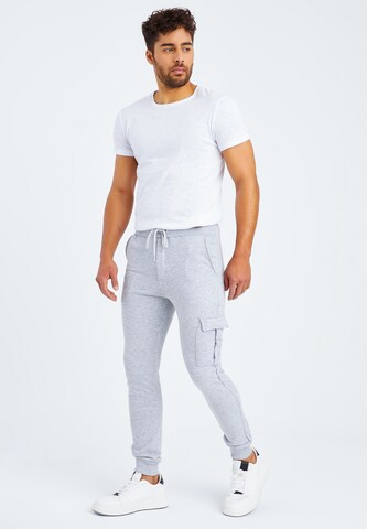 Leif Nelson Slim fit Pants in Grey