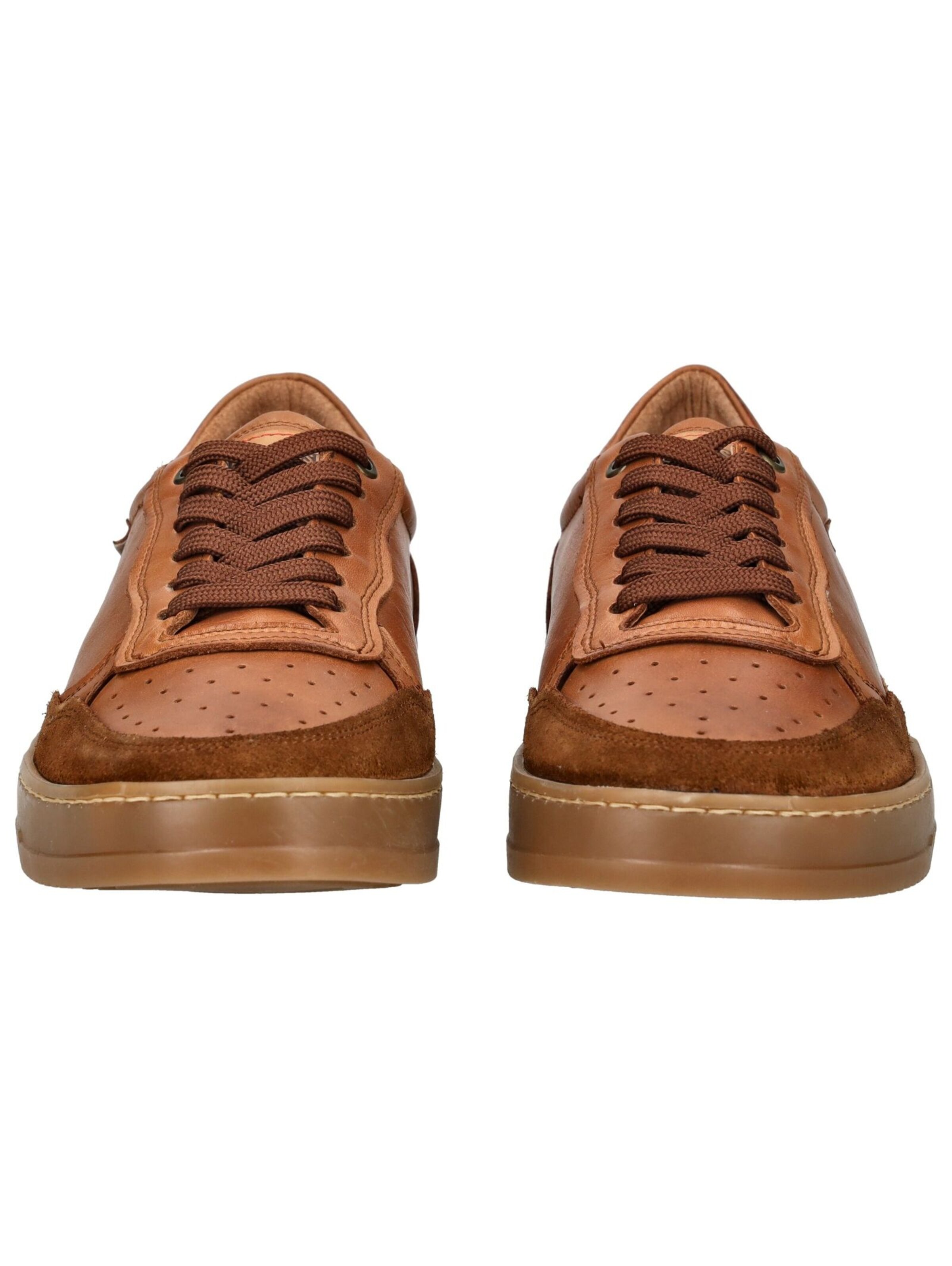 Baskets basses PIKOLINOS en marron