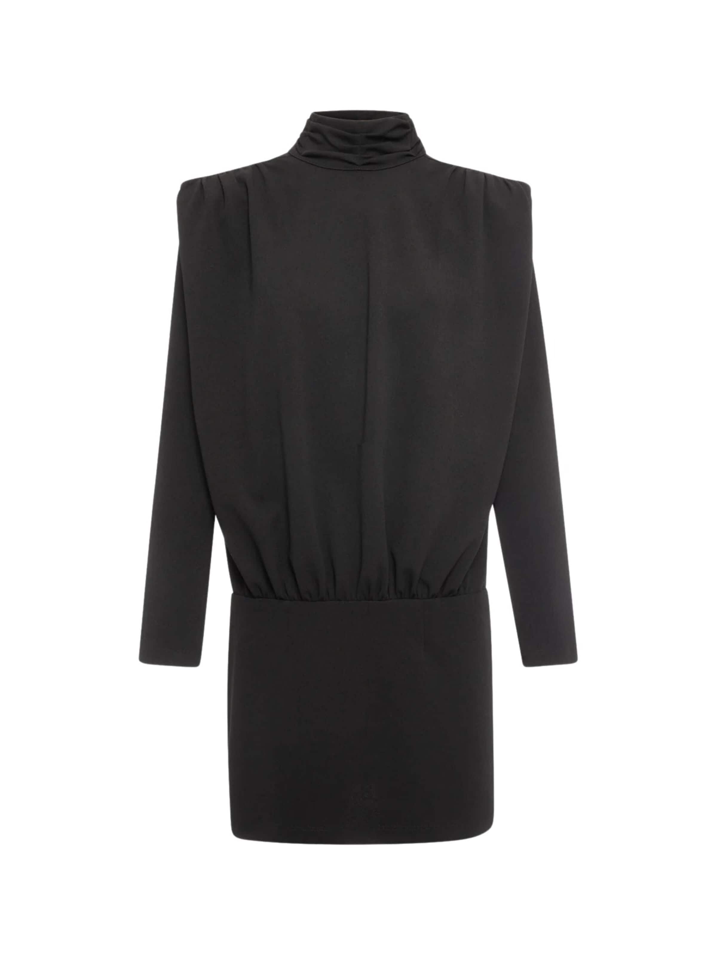 Fracomina Klänning 'Long-Sleeved High-Neck Mini Dress' i svart: framsida