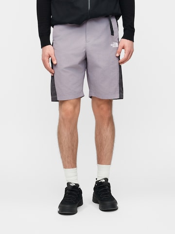 Regular Pantaloni de la THE NORTH FACE pe gri: față