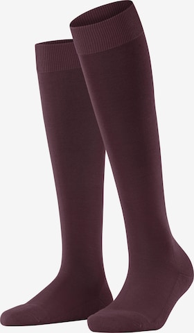 FALKE Knee High Socks 'ClimaWool' in Red: front