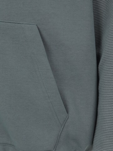 Jack & Jones Plus Collegetakki 'JJTHATCHER' värissä sininen